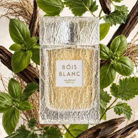 Bois Blanc